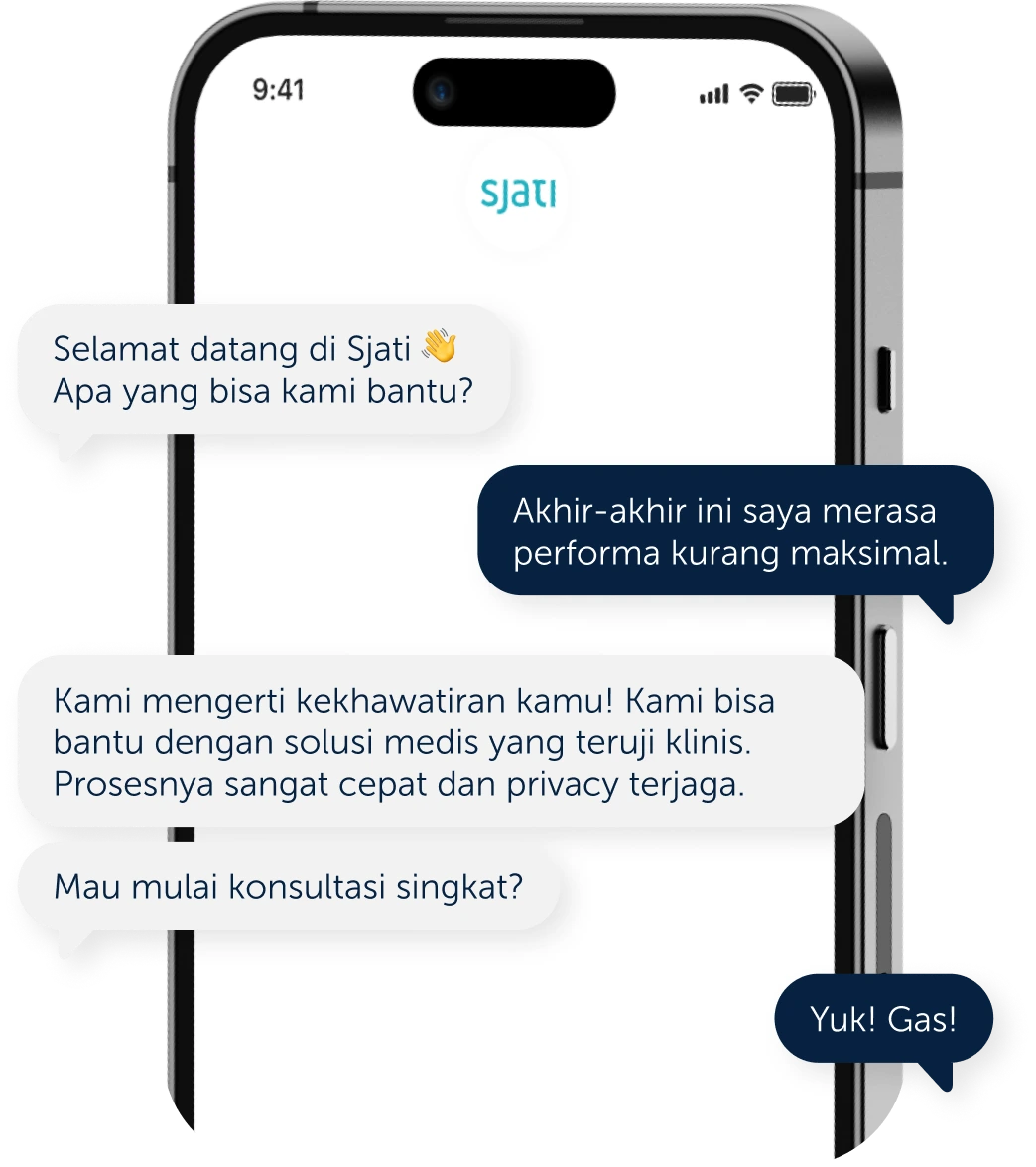 Sjati Chat Interface